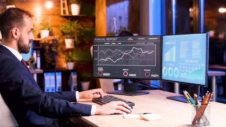 Stock Management Software Services